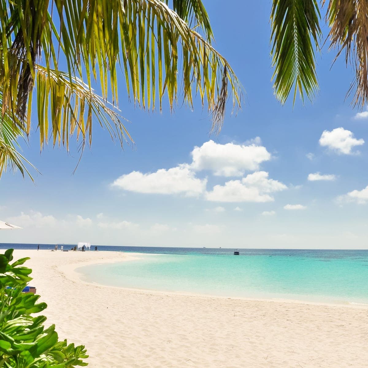 Bloody Bay at midday — flat, clear water, Booby Cay on the horizon