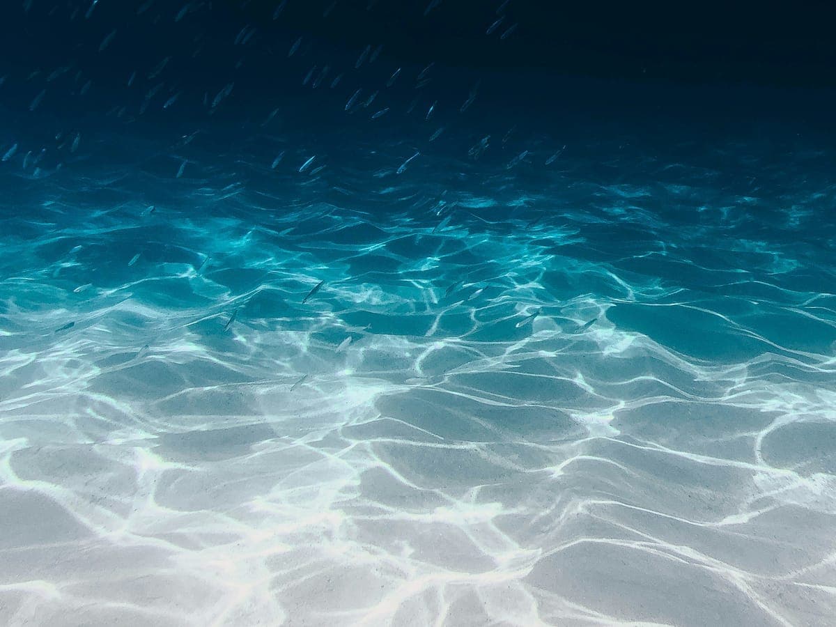 Lone swimmer in the clear shallows of Bloody Bay, Booby Cay behind